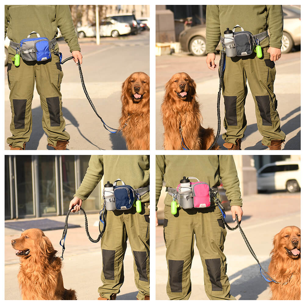 Outdoor Waterproof 3 in 1 Multi-Function Leash Dog Training Waist Bag Set