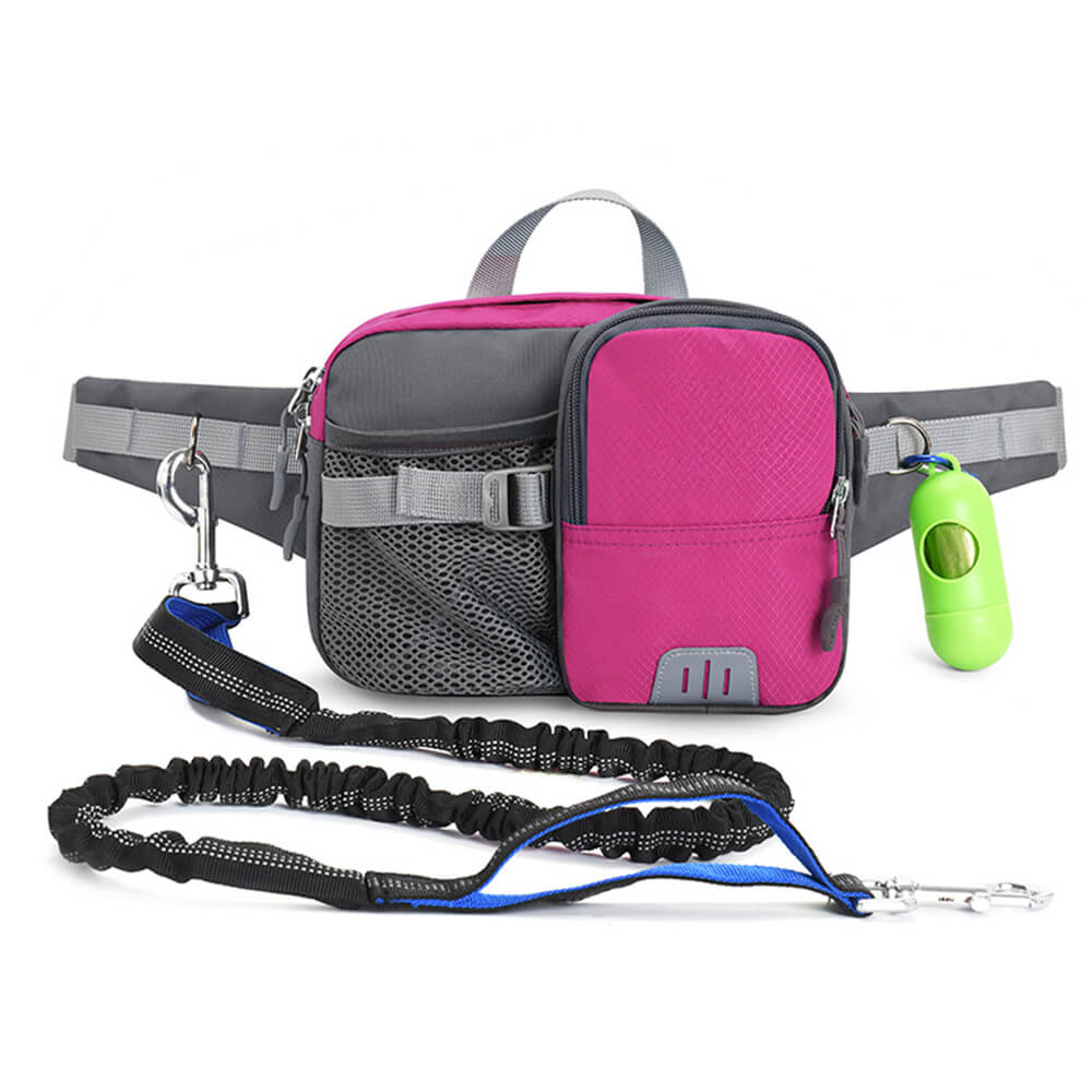 Outdoor Waterproof 3 in 1 Multi-Function Leash Dog Training Waist Bag Set