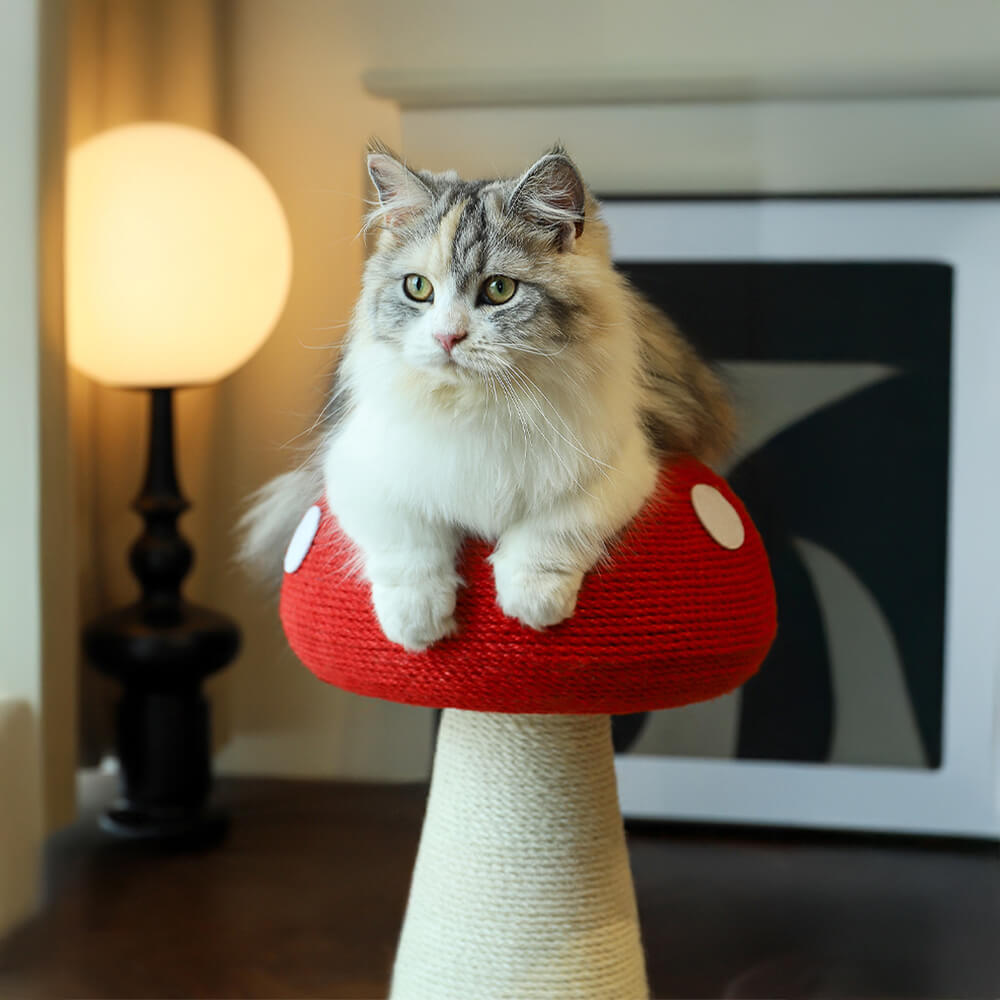 Handcrafted Mushroom-Shaped Natural Sisal Scratching Post for Large Cats