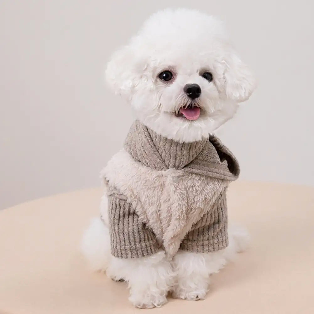 Plush Coat & Matching Turtleneck Sweater Two-Piece Dog Outfit Set