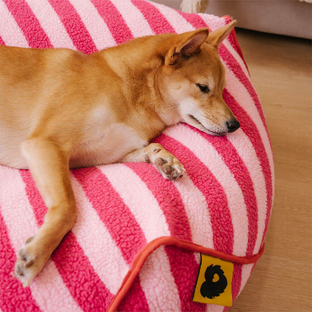 Trendy Striped Pattern Polygonal Calming Bean Bag Dog Bed