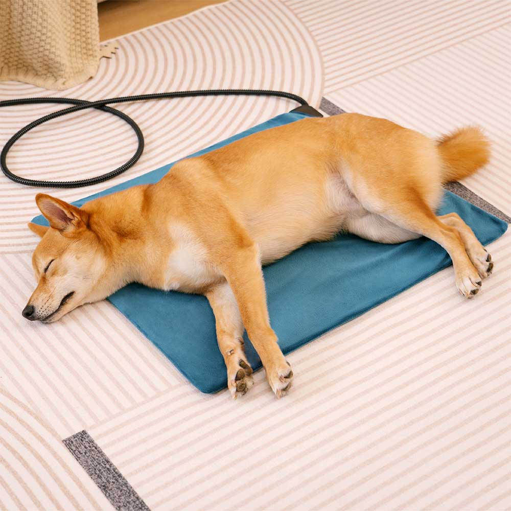 Waterproof&Chewproof Electrical Pet Heated Pad - Safe Warmth