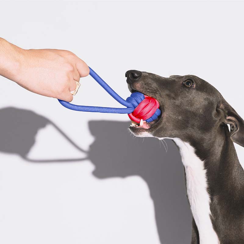 Knots Rope Tug Dog Toy - Color Clash - FUNNYFUZZY