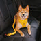 Cozy Car Trips With Pets Bundle - 3pcs