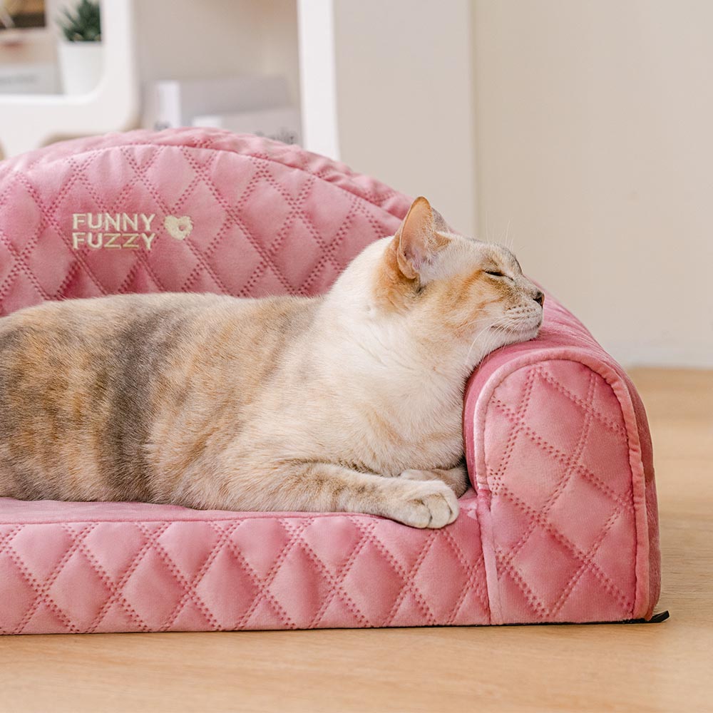 Pinky Cozy Indoor Sofa Calming Cat Bed -  Princess Lord