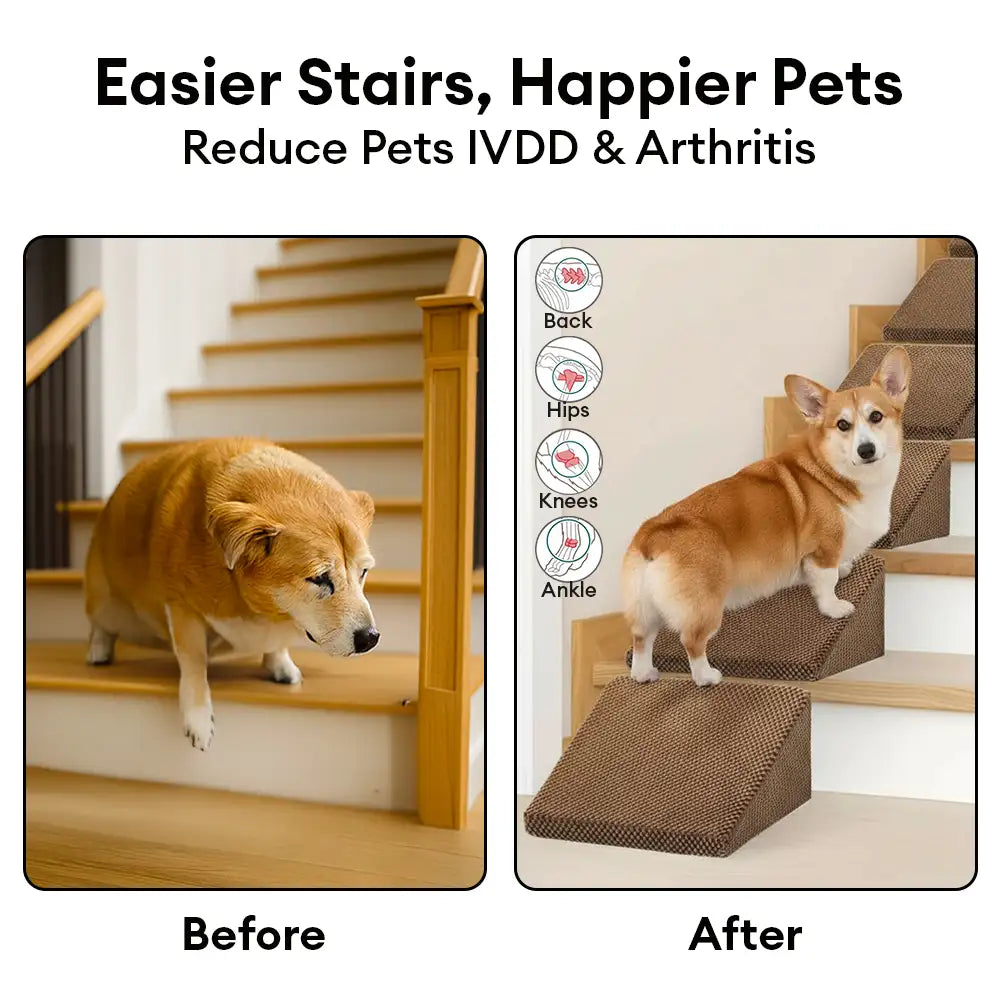 Modular Foam Dog Ramp Stairs for Staircase Stairs with Velcro