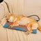 Electrical Pet Heated Pad - Waterproof＆Chewproof For Safe Warmth