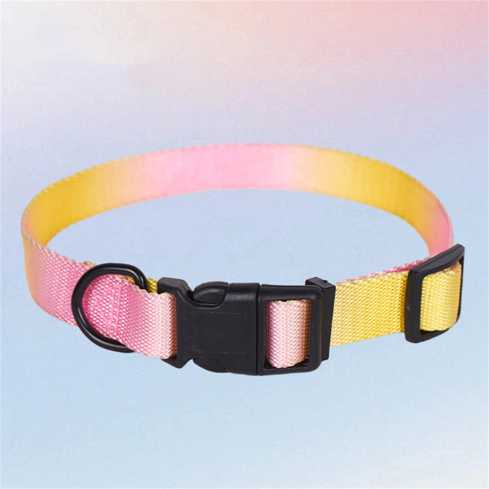 Colorful Gradient Dog Traction Rope and Chest Harness - Anti-Breakaway Design