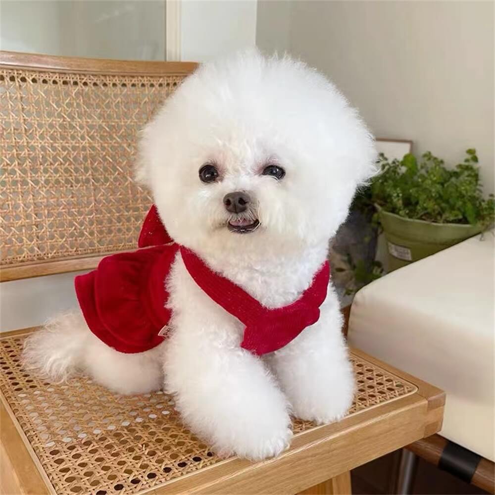 Velvet Red Bow Dog Dress – Perfect for Special Occasions!