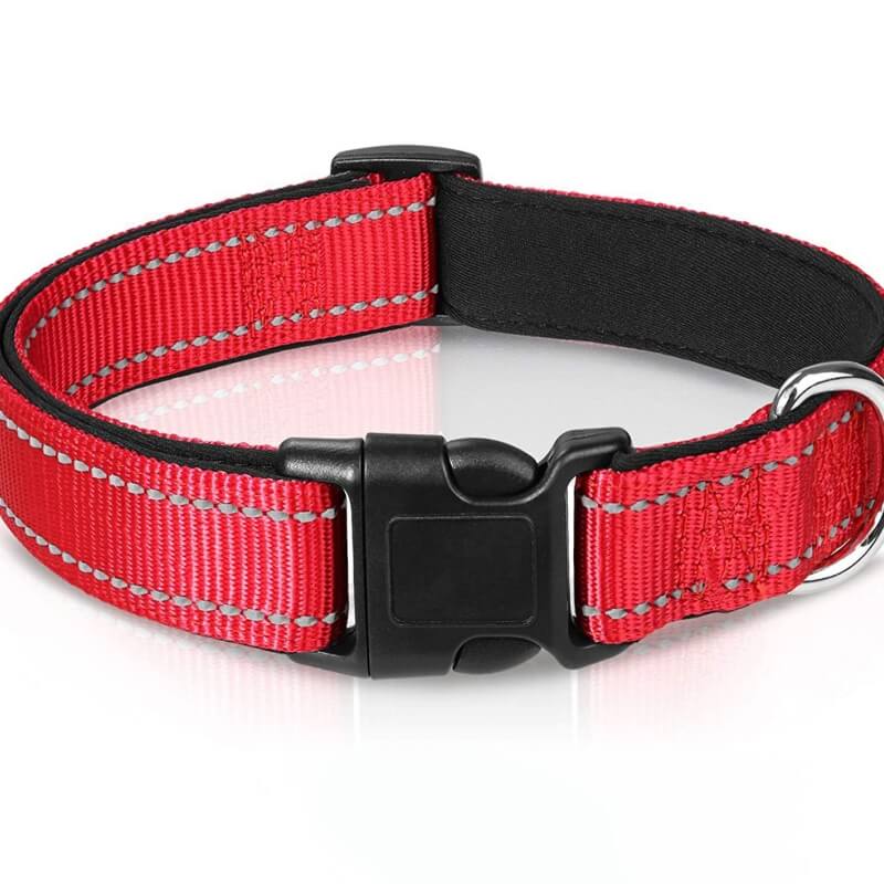 Adjustable Reflective Safety Nylon Dog Collar