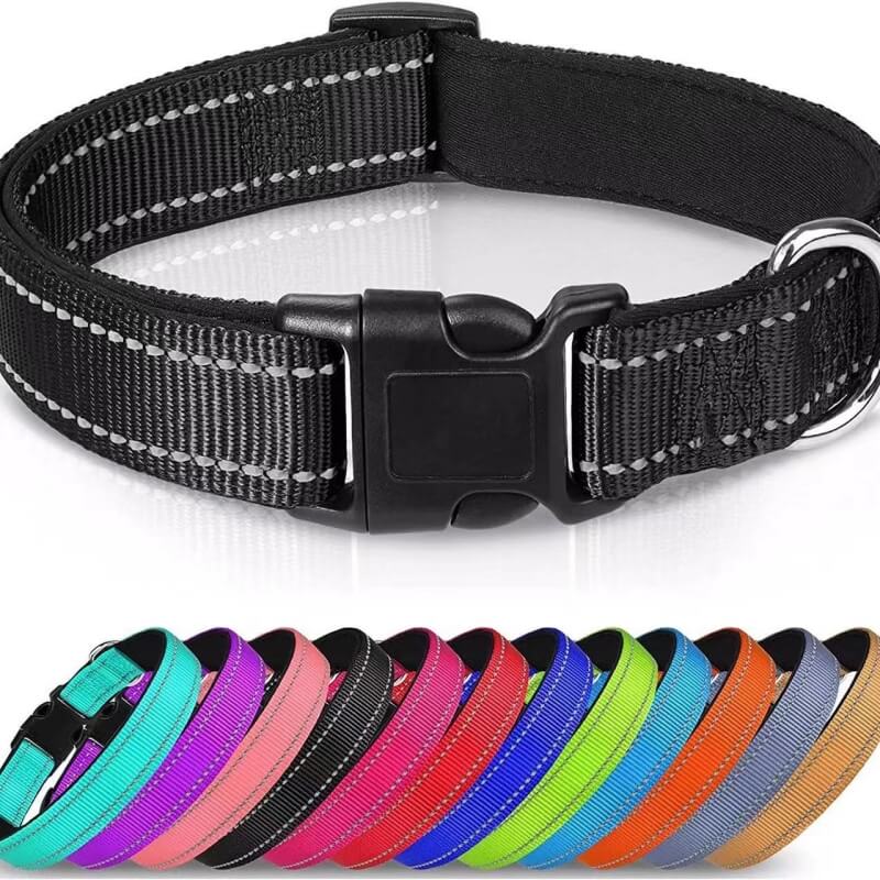 Adjustable Reflective Safety Nylon Dog Collar