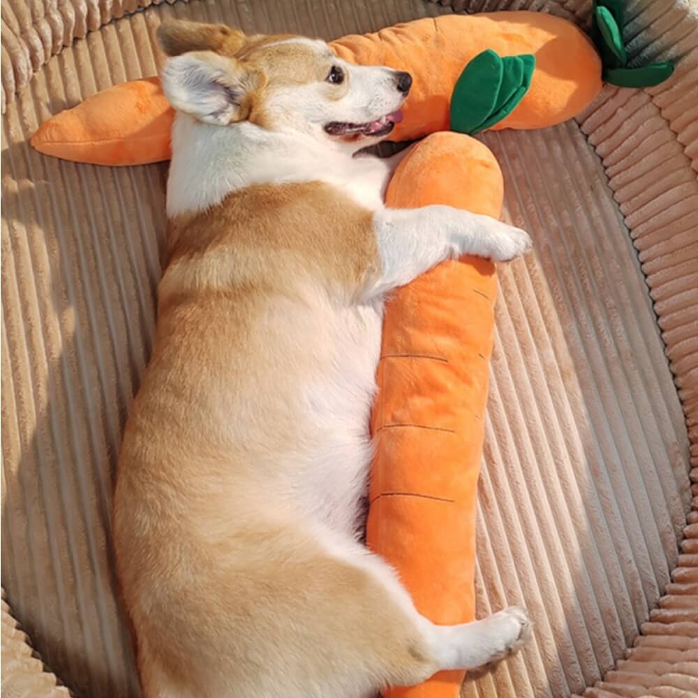 Carrot Squeaky Plush Toy Dog Interactive Toy