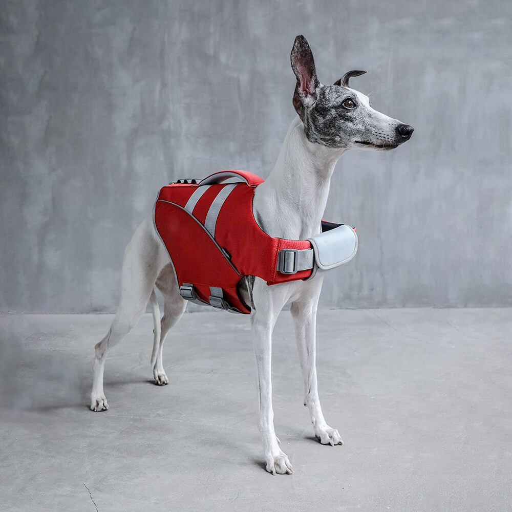 Dog Life Jacket - Lifeguard