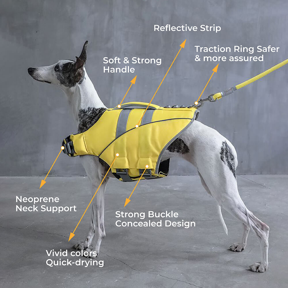 Dog Life Jacket - Lifeguard