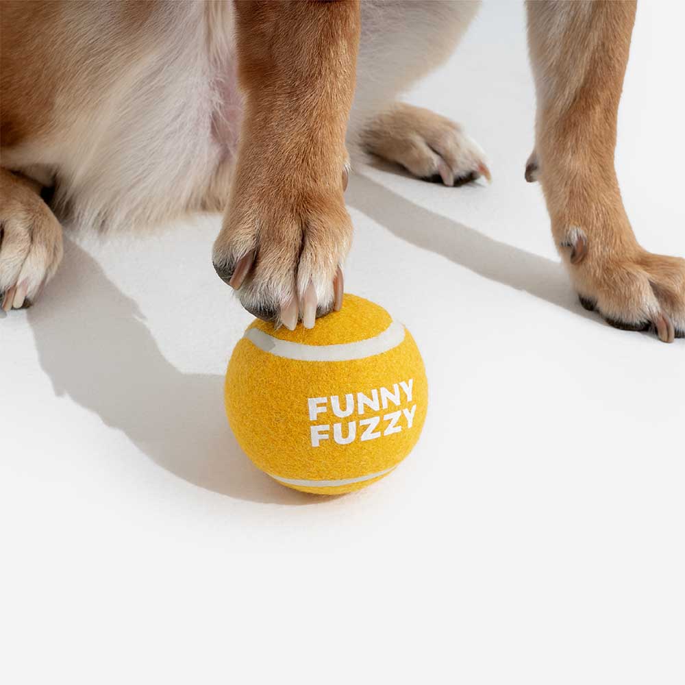 FUNNYFUZZY Tennis Ball Dog Toy - Squeaky & Bounce