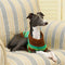Color Blocked Striped Dachshund Dog Sweater