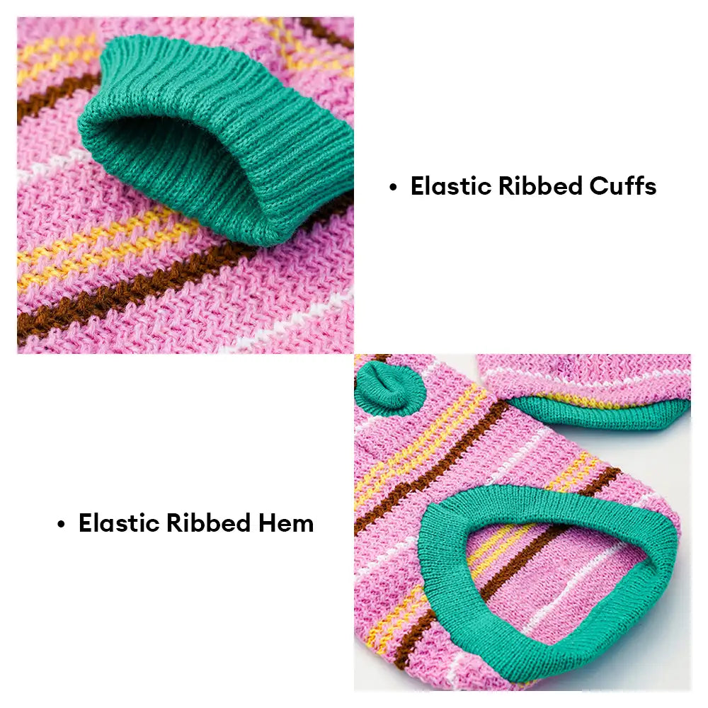 Color Blocked Striped Dachshund Dog Sweater