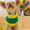 Color Blocked Striped Dachshund Sleeveless Dog Sweater