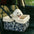 Cozy Foldable Booster Dog Car Seat with Washable Lining for Small Pets Travel Safety