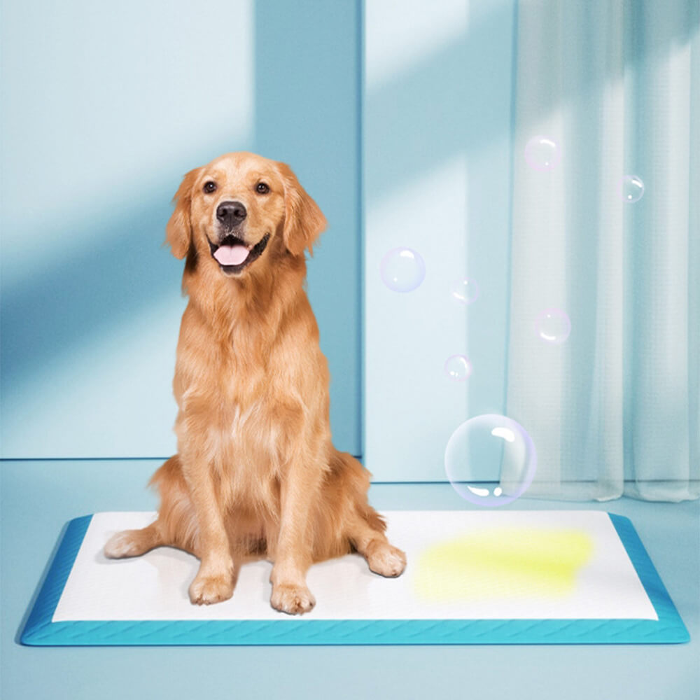 Dog Pee Training Pad - Disposable Pet Pads Absorbent & Leak-Proof