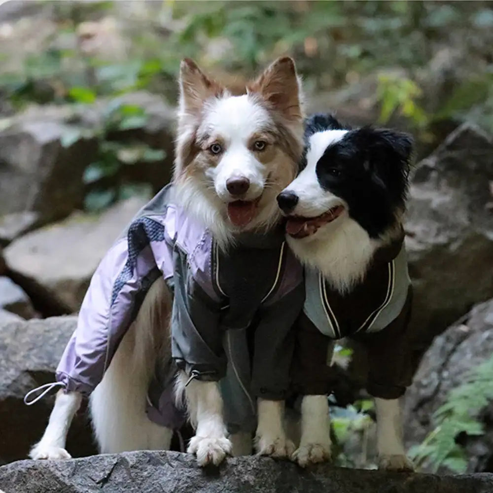 Multi-Functional Waterproof Windproof Dog Windbreaker Coat for Medium & Large Dogs