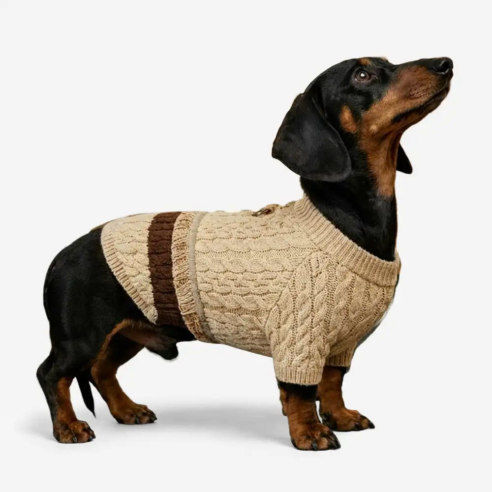 Retro Cable Knit Dachshund And Small To Medium-Sized Dog Sweater