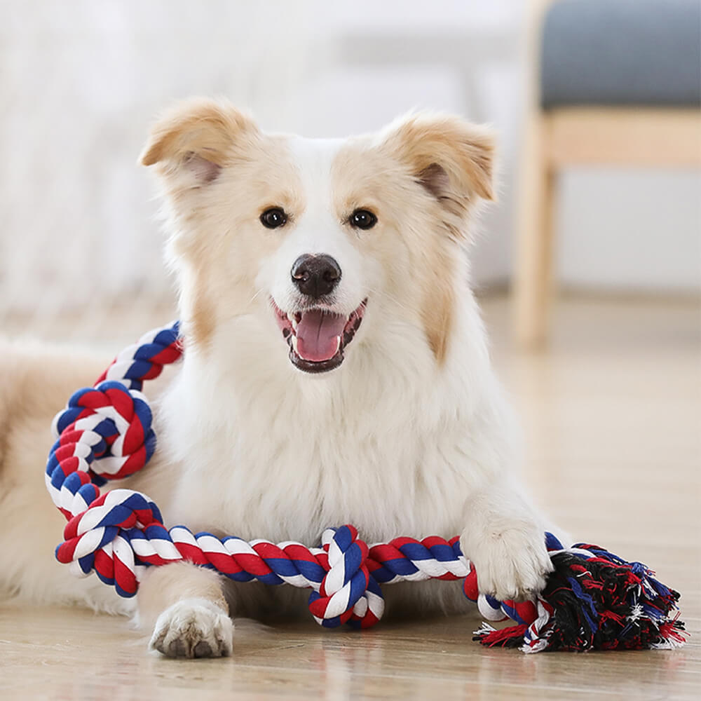 Rope Knot Tug Dog Interactive Toy