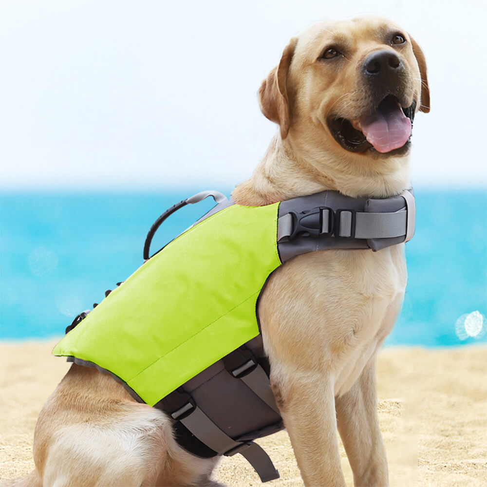 Secure and Buoyant High-Visibility Dog Life Jacket