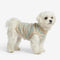 Soft Faux Wool Knitted Striped Dog Sweater for Small Dogs