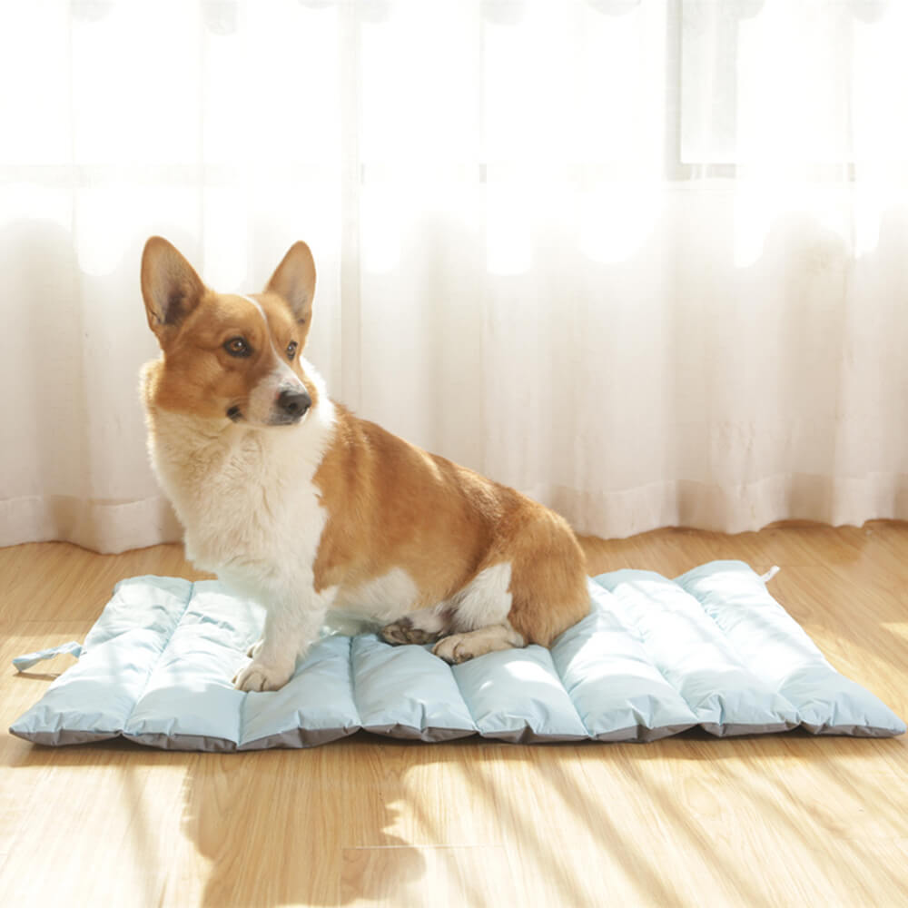 Travel Foldable Waterproof Durable Outdoor Dog Mat