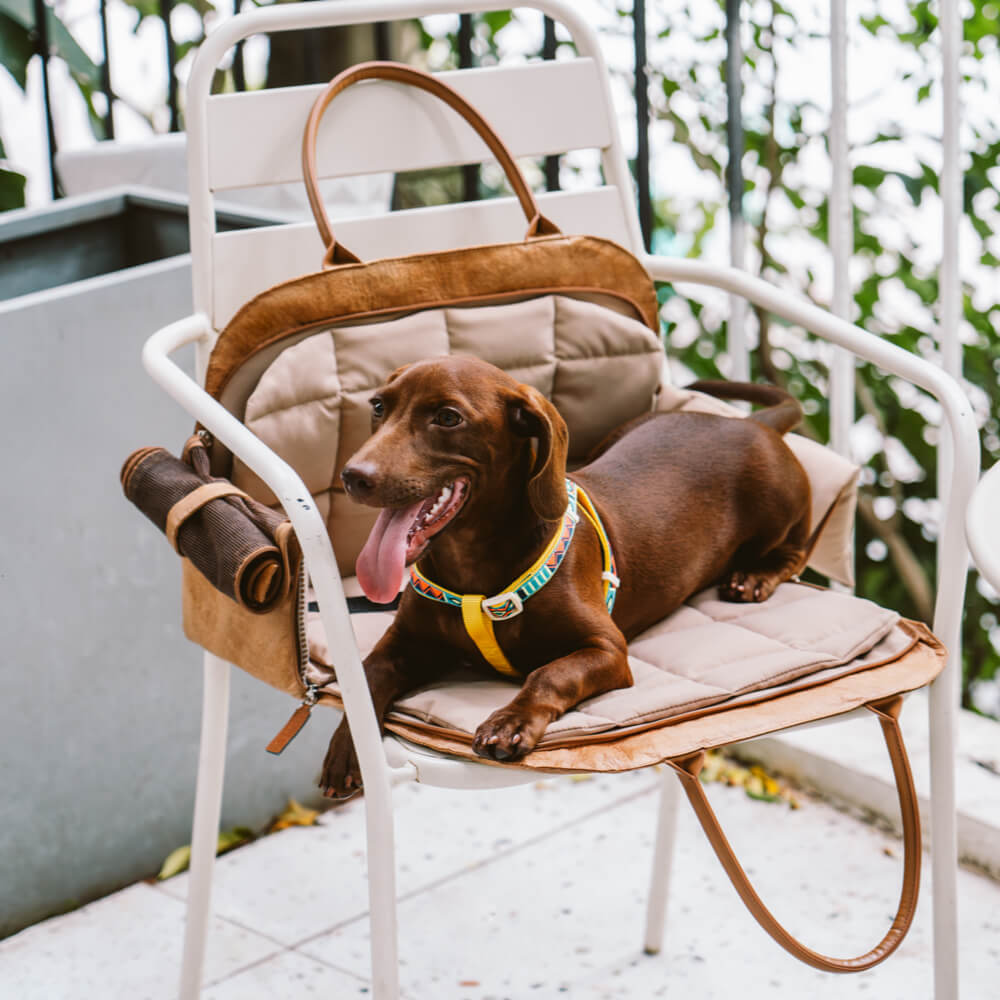 Puppy Starter Bundle - Outdoor Pet Travel Kit