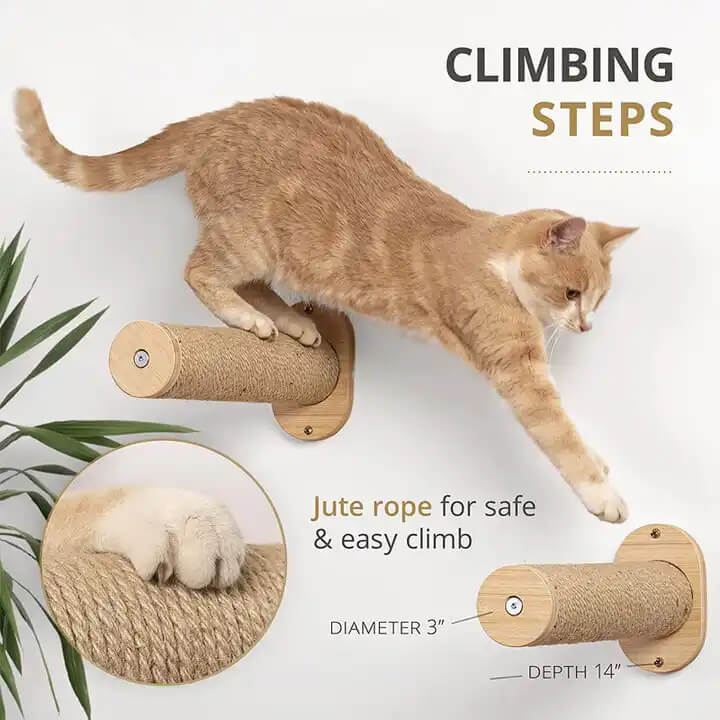 Wall-Mounted Cat Shelves Cat Wall Hammock with Steps