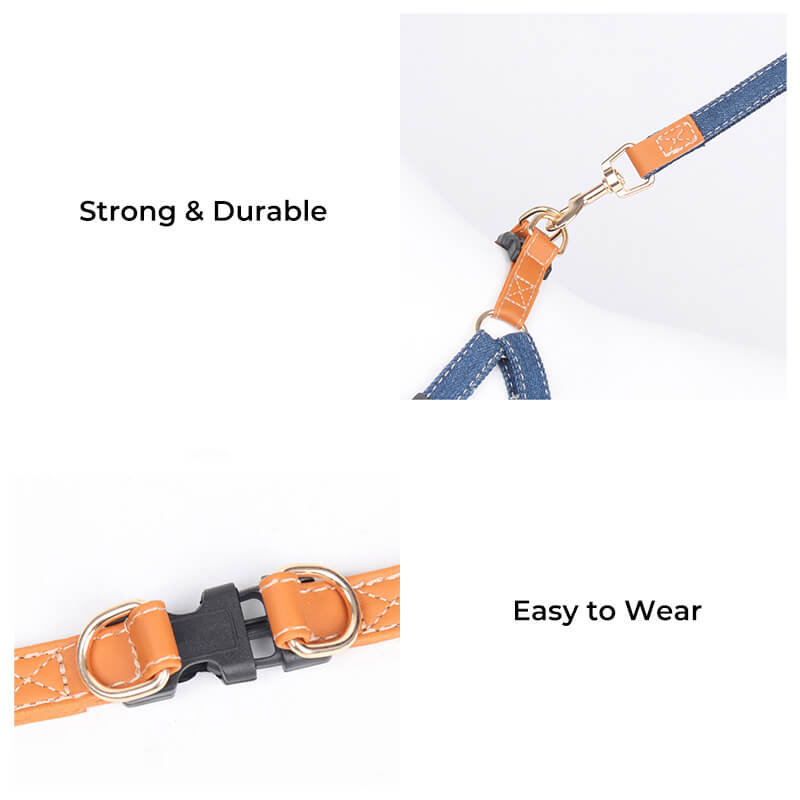 Anti Pull Dog Harness Walk Set