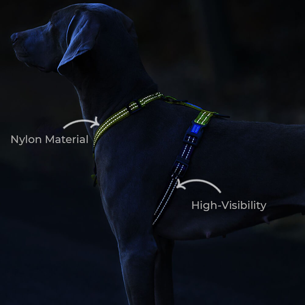 Reflective Buckle-Neck Balance Harness No-Pull Dog Harness