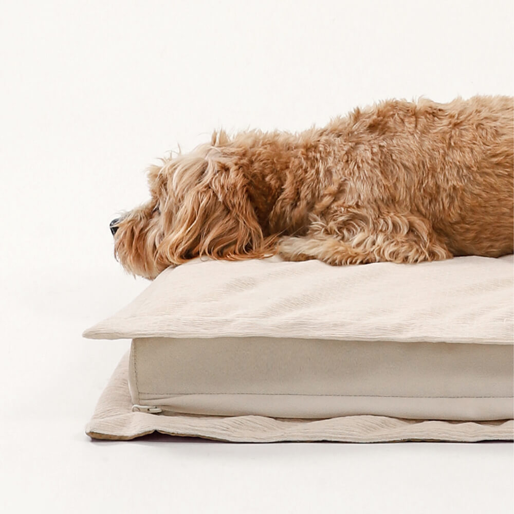 Anti-Anxiety with Sponge Support Deep Sleeping Dog Bed