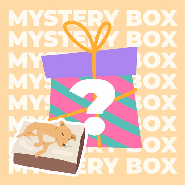 Mystery Box - Premium Pet Mat- Random - 1pc