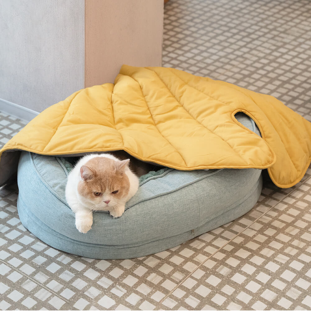 Donut Fluffy Orthopedic Dog Bed