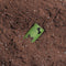 Biodegradable Poop Bag - Scent